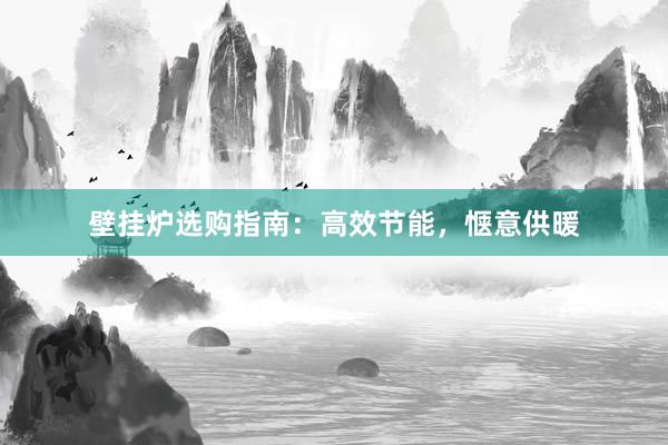 壁挂炉选购指南：高效节能，惬意供暖