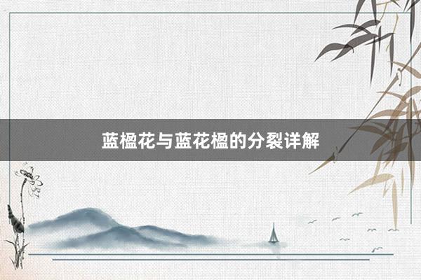 蓝楹花与蓝花楹的分裂详解