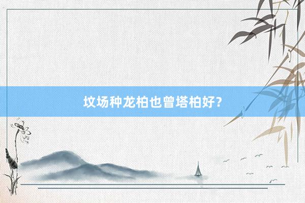 坟场种龙柏也曾塔柏好？