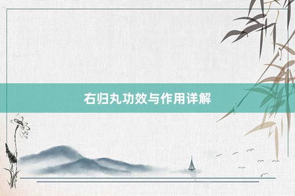 右归丸功效与作用详解